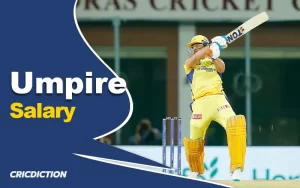 umpire salary in ipl